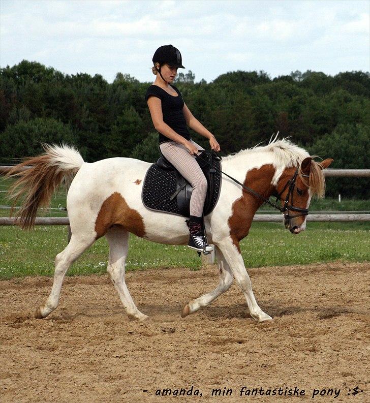 Pinto Amanda - "Hælene nede, hovedet op
hænderne nede, modet op
knæene ind til hestens side
ellers lærer du aldrig at ride"
Lærke T. 14.6.11 <3


 billede 10