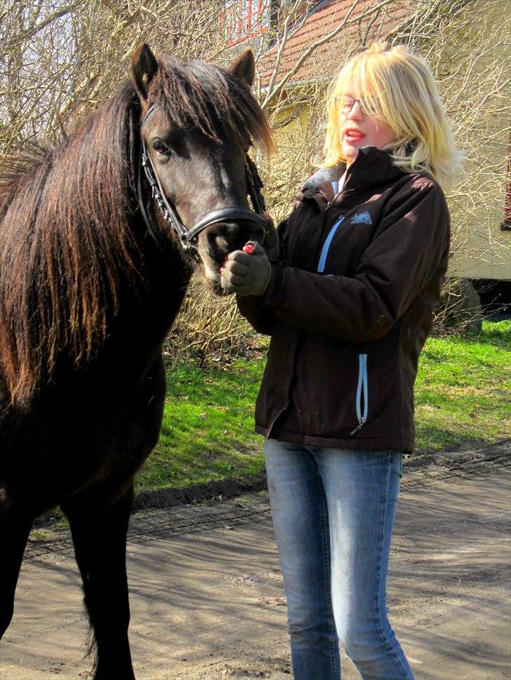 Anden særlig race Jolly - SOLGT -Savnet  billede 13