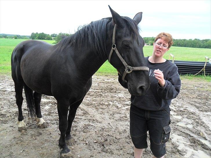 Oldenborg bastian billede 15