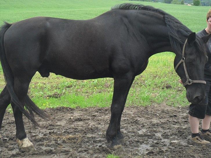 Oldenborg bastian billede 16