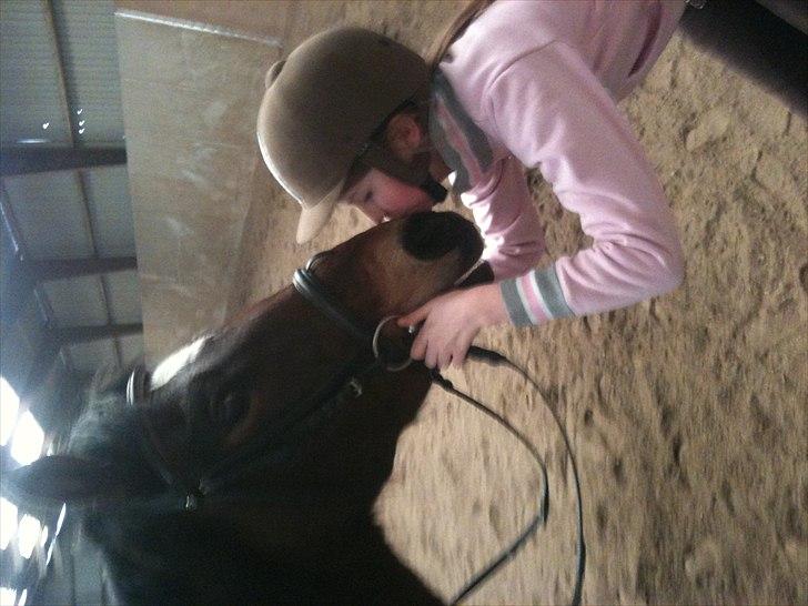 New Forest Yasper billede 11