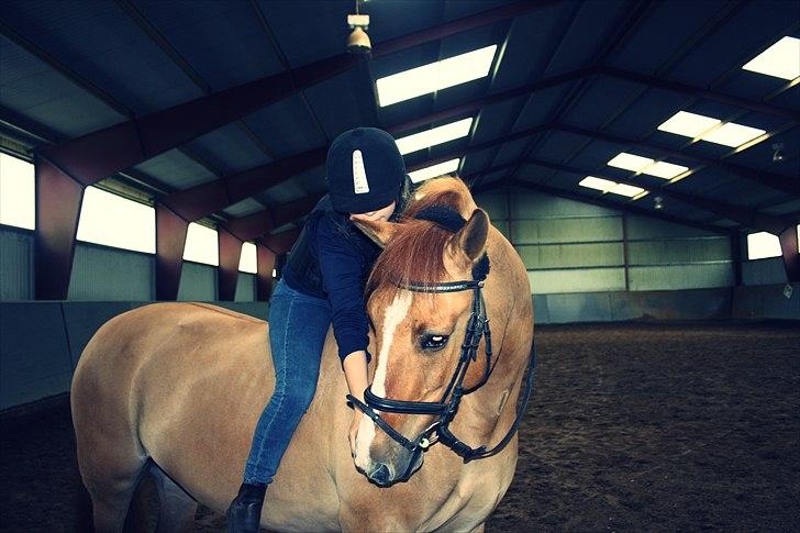 Anden særlig race Sir Thomas Ekipazas - you can not go from me.... if you do, then you are stil in my heart..... billede 10