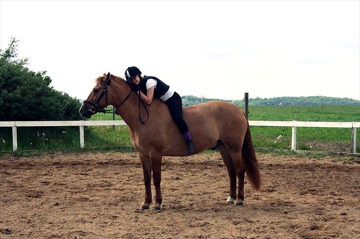 Anden særlig race Sir Thomas Ekipazas - a friend for life=D billede 11