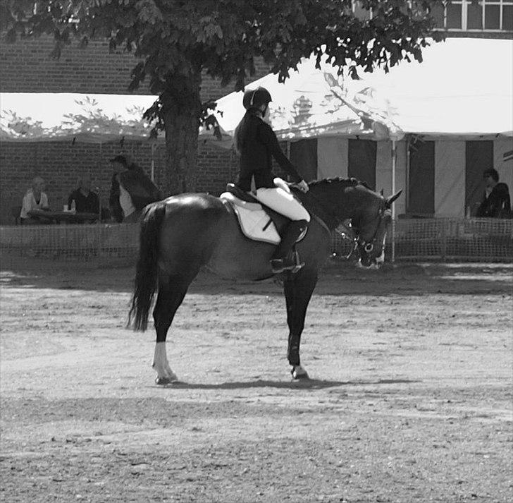 DSP Feminin - Sød type! 
Næstved Kaserne 2011 billede 2