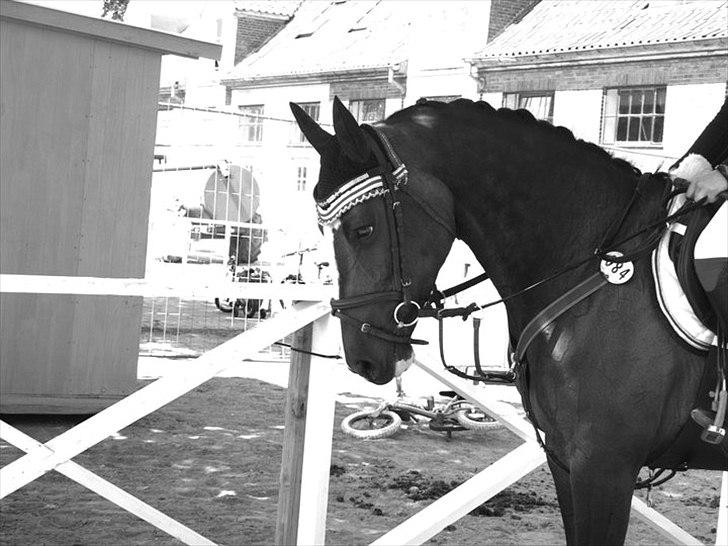 DSP Feminin - Femi!
Næstved Kaserne 2011 billede 3