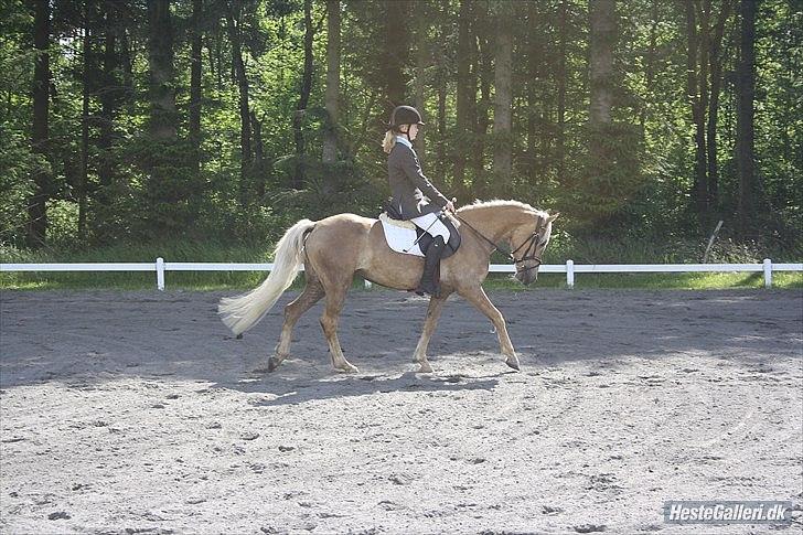 Anden særlig race  Smilla <3:i billede 5