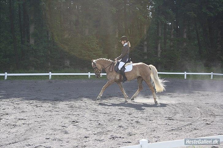 Anden særlig race  Smilla <3:i billede 1