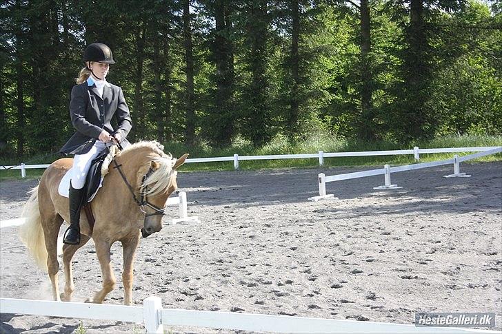 Anden særlig race  Smilla <3:i billede 18