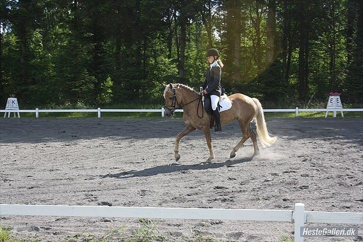 Anden særlig race  Smilla <3:i billede 10