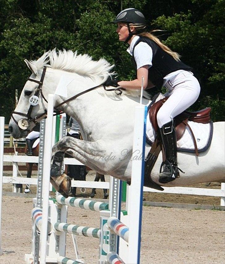 Connemara Prospect Dal Moro - Verdens beste!<3 billede 1