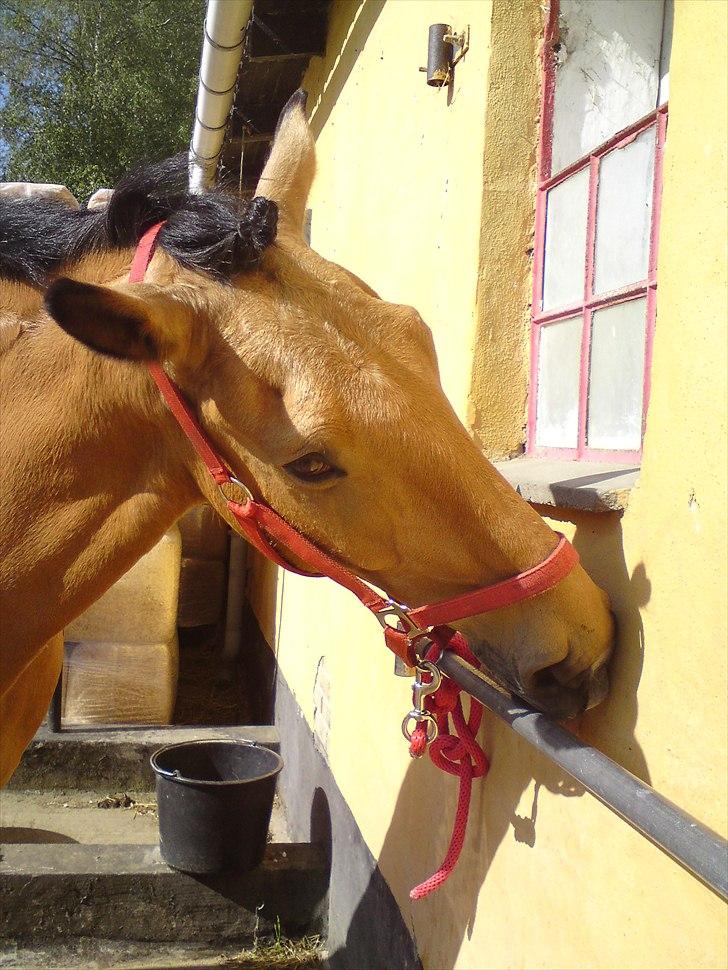 Anden særlig race Bratz <3 - Bratz gør væggen ren xD billede 9