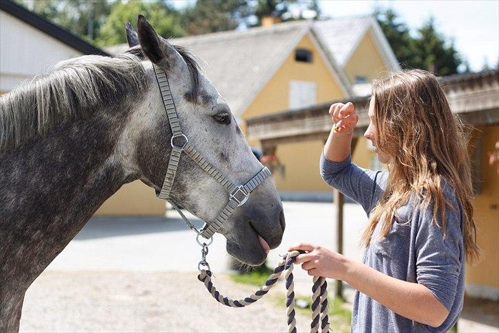 Anden særlig race Saigon (Bonsai) - Noget siger mig, at vi ikke helt er efter det samme ;)
 billede 18