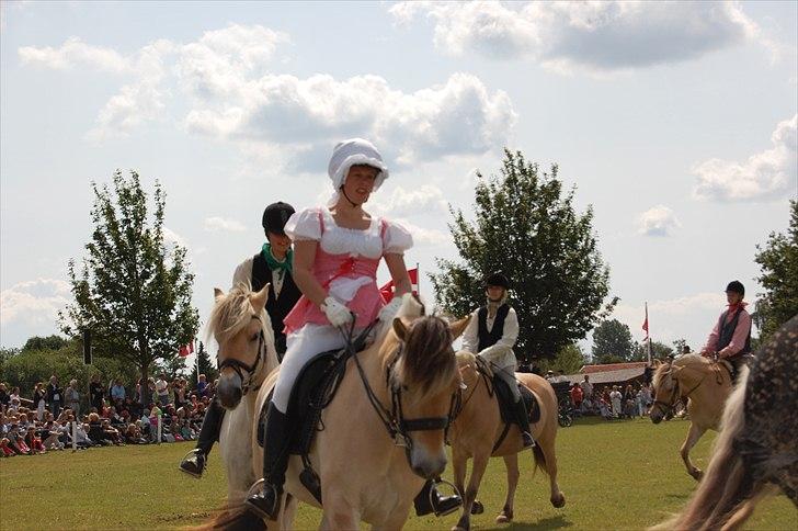 Fjordhest Fnug Halsnæs - Galla på det fynske dyrskue 2011 billede 13