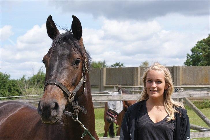 DSP Røgilds Dominique - Efter dressurtræning - 15/06-20111

Foto: Line Andersen billede 10