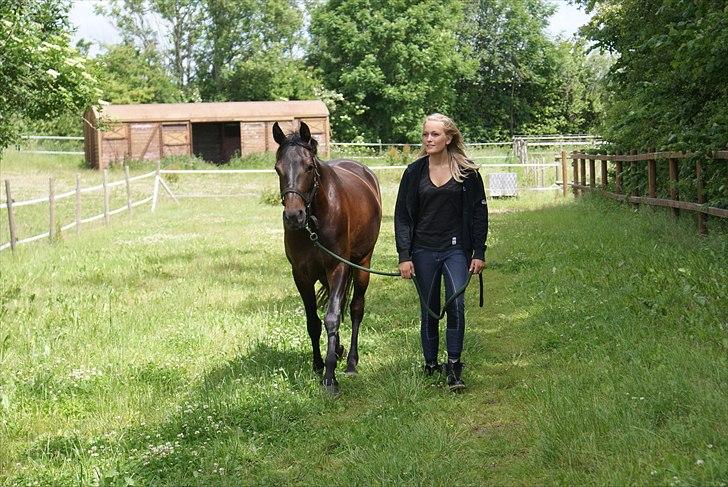 DSP Røgilds Dominique - Vi siger farvel og tak for denne gang (-:  billede 18