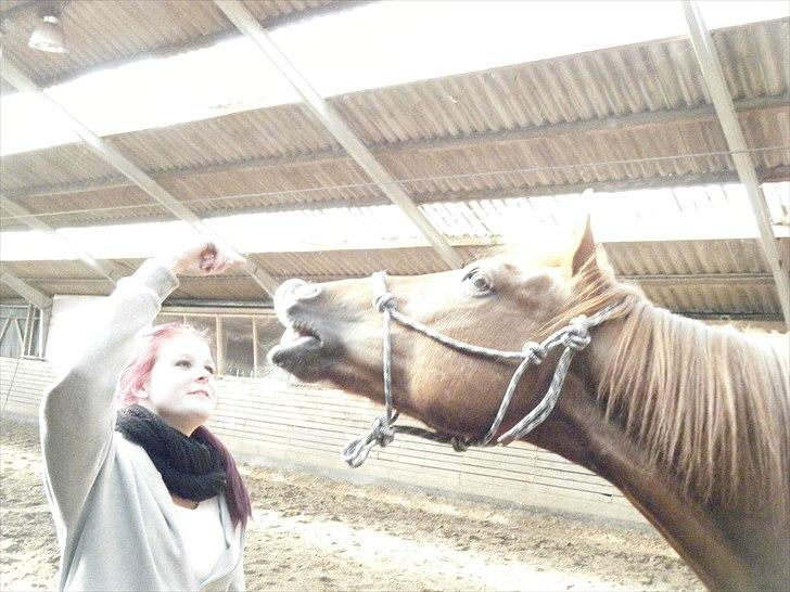 Anden særlig race Alvin - Det der gør livet værd at leve <3 - Smiiiiiiil ! :D
du får virkelig smilet frem på mine læber :i<3 billede 11