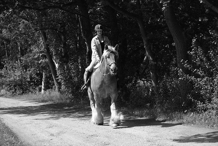 Jyde Østervig Storm P  - Foto: Philip | Han bliver kun bedre og bedre. billede 11