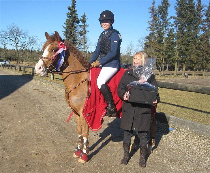 Anden særlig race Pretty Boy  - Stævne på Findus i vinters. 2. Plads i LC og 1. Plads i LB. billede 9