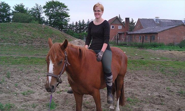 Anden særlig race First Trust (Tidl. hest) SOLGT - D.16/6-2011. Første gang jeg er oppe på Trusti... Skridtede 2 omgange på hende :-) Er STOLT af min lille hyp !! billede 14