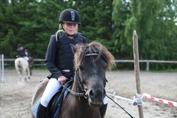 Anden særlig race Oskar - Hej og velkommen til min profil :) læg gerne en besked og smid lige en bedømmelse <3 :)
Elsker min lille osker posker ;) <3

sløjfe spring på RIF foto mollie billede 1