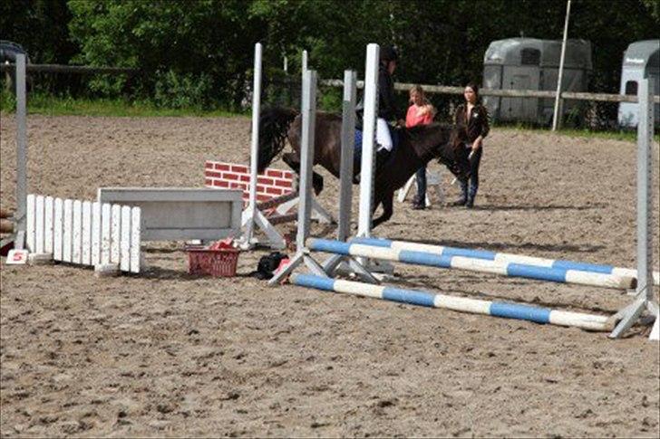 Anden særlig race Oskar billede 2