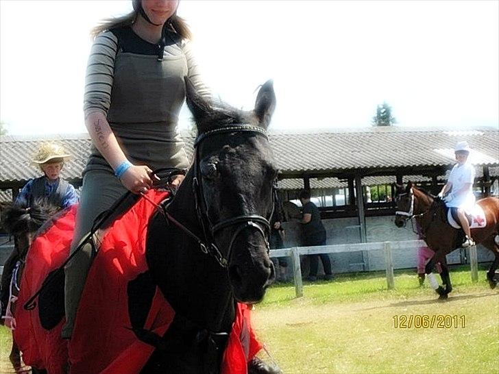 New Forest Kimberly |Prinsesse| billede 17