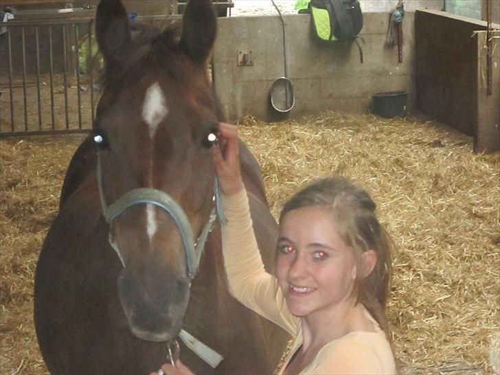 Welsh Partbred (Sec F) Marieton's Silvy<3. - tak fordi i så Silvy's profil!(-;.
- skriv GERNE en kommentar og måske en bedømmelse!(y). billede 17