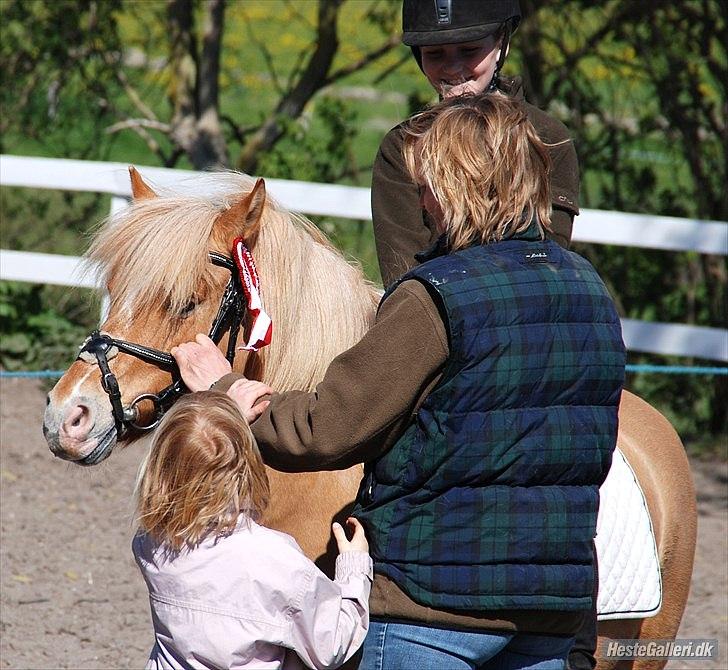 Anden særlig race smørblomst<3 savnes!(solgt) - stævne 2011 ,1 plads :) på smørblomst<333 billede 3