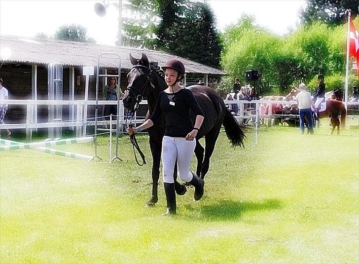 New Forest Kimberly |Prinsesse| billede 18