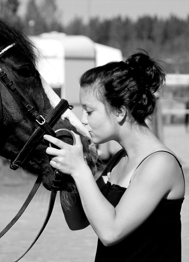 Irsk Sportspony Multistar Scan | A-PONY - Multistar Scan & Jessica Malin billede 1