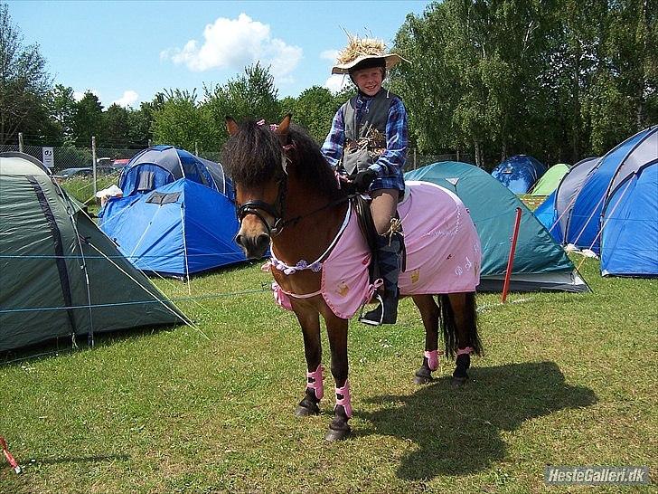 Anden særlig race Daisy - klodshans og prinsessen til kostumespring på børnedyreskuet :D  billede 1