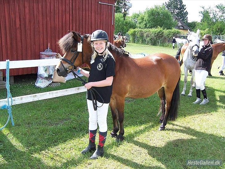 Anden særlig race Daisy - <3 billede 2