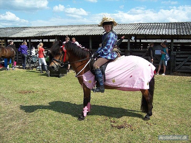 Anden særlig race Daisy billede 4