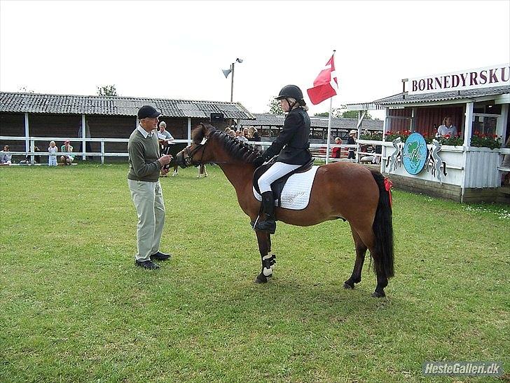 Anden særlig race Daisy billede 7