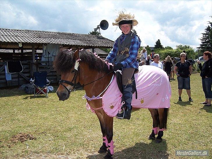 Anden særlig race Daisy billede 8