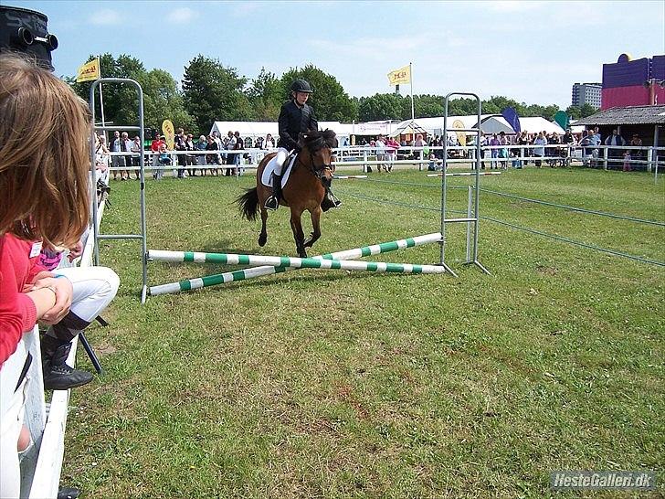 Anden særlig race Daisy - et lille hop :)  billede 9