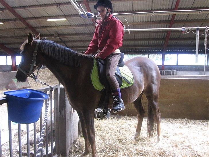 Welsh Partbred (Sec F) Marieton's Silvy<3. - jeg ligner bare en ko derpå-.-'.
- men Sålseprinsessen er smuuuuk!<3. billede 16