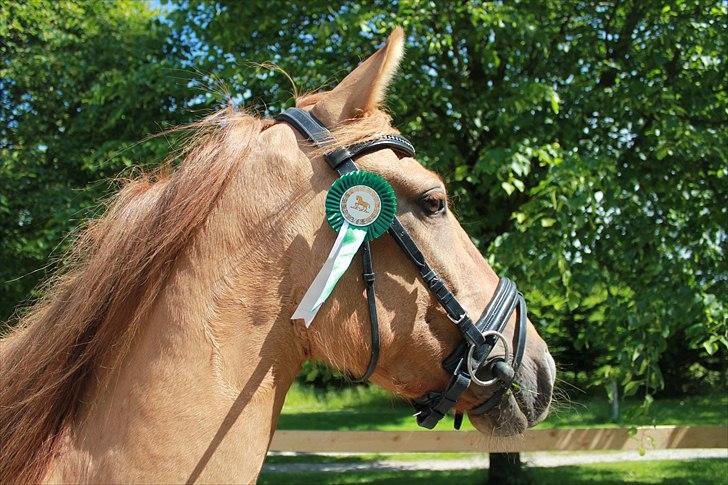 Anden særlig race Playboy billede 2