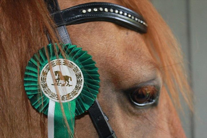 Anden særlig race Playboy billede 4