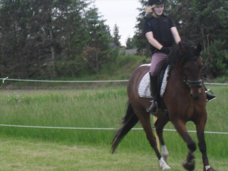 Anden særlig race Skovgaardens Nuqqie nudjive <3 - Billede 4. billede 4