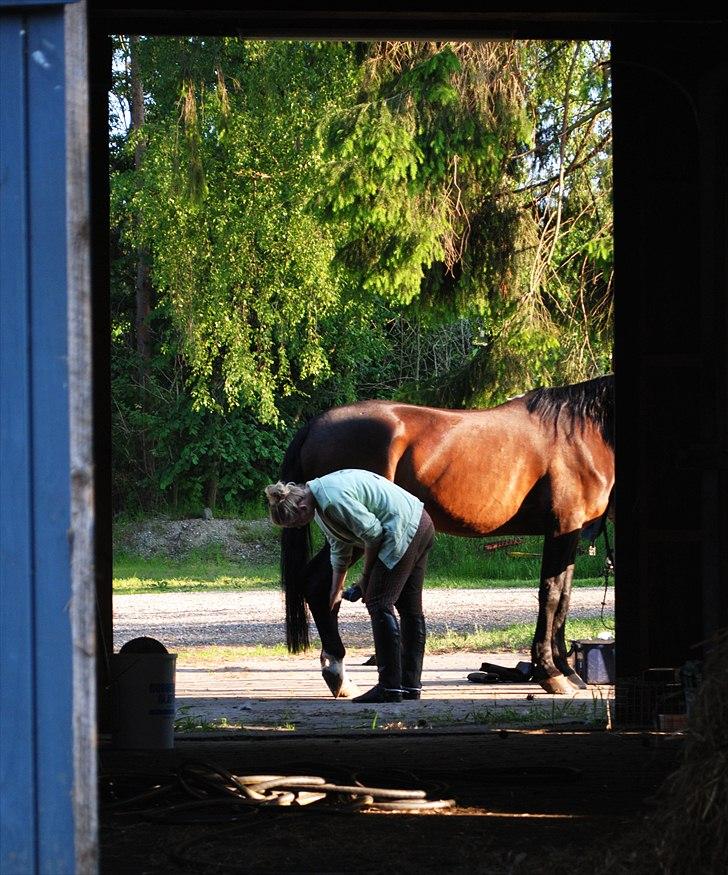 Traver L D White R.I.P  - Så skal der pusses  billede 7