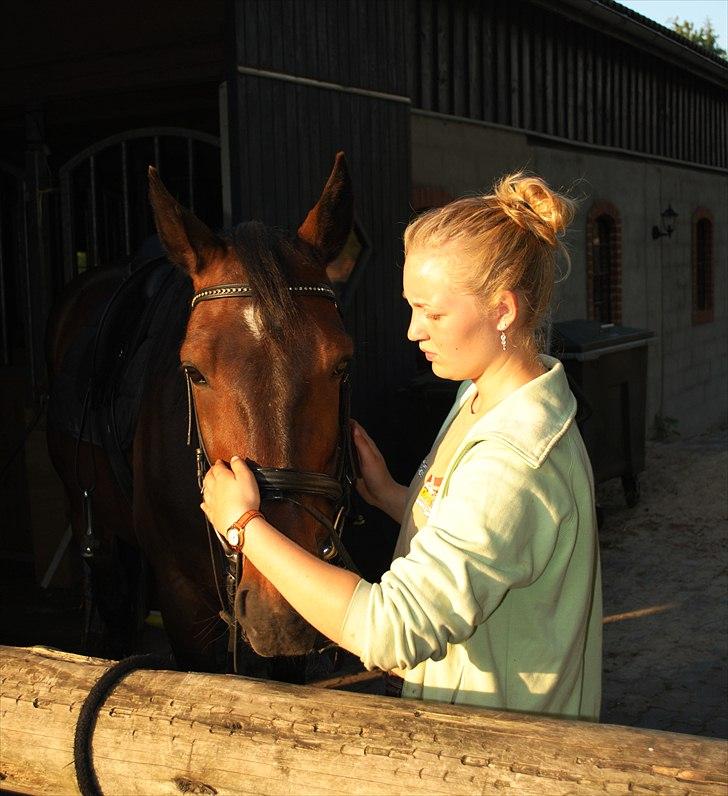 Traver L D White R.I.P  - Så er vi ved at være klar til træning  billede 8