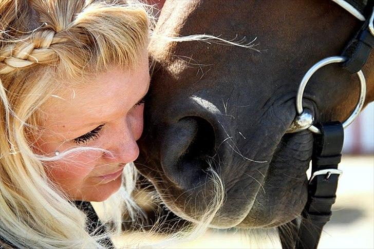 Hannoveraner Wikinger ;) - Taget af Taz billede 13