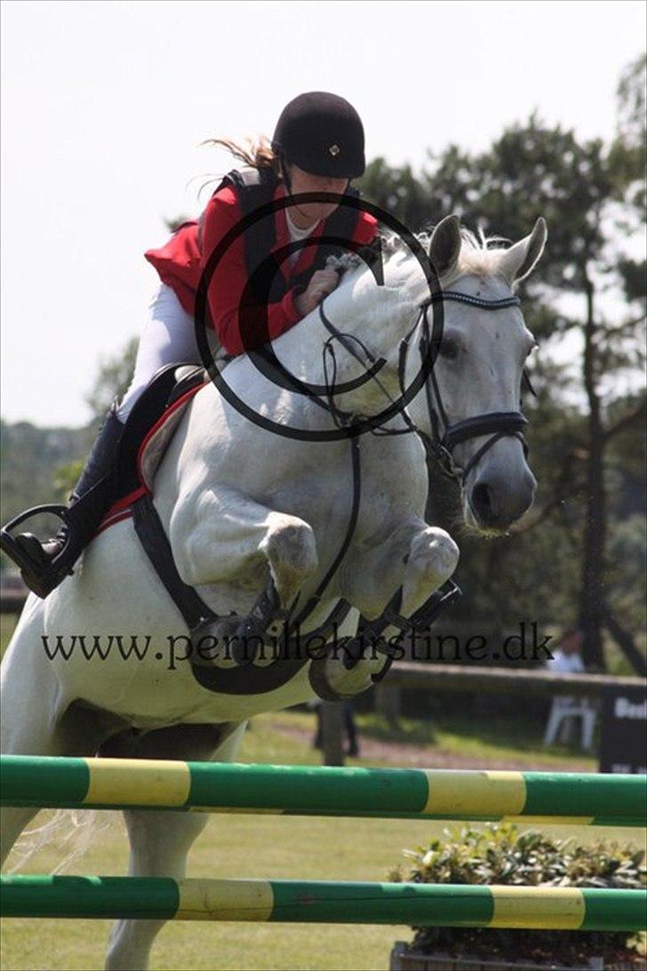 Anden særlig race Tibbury - HAR FÅET LOV AT BRUGE BILLEDET MED COPYRIGHT. På kalle til Lm, endte som nummer to :) billede 17