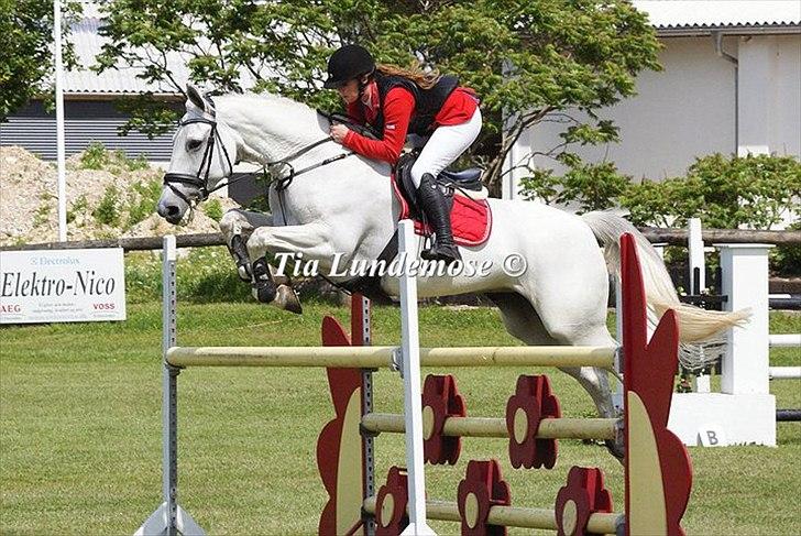 Anden særlig race Tibbury - HAR FÅET LOV AT BRUGE BILLEDET MED COPYRIGHT.
- LM på kalle. Endte som nummer to :) billede 18