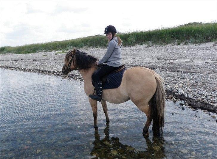 Anden særlig race Smilla billede 18