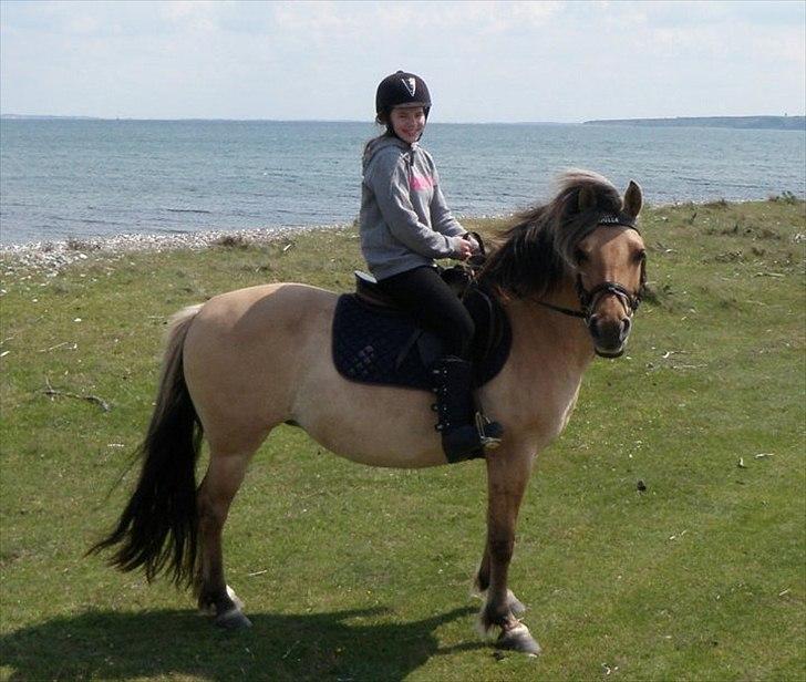 Anden særlig race Smilla billede 2