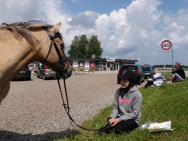 Anden særlig race Smilla billede 1