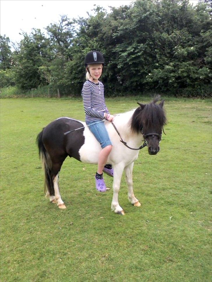 Anden særlig race Czami<3 - Det var bare dejligt at ride på Czami<3:) billede 14