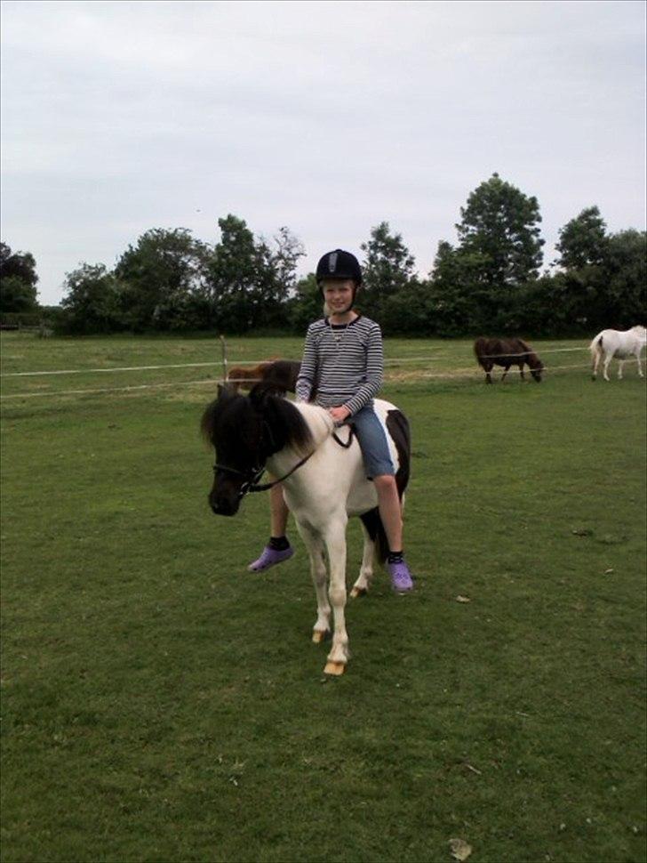 Anden særlig race Czami<3 - Jeg elsker dig Czami<3 billede 15